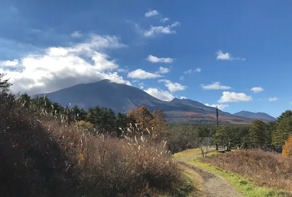 北軽井沢の写真・動画_image_959688
