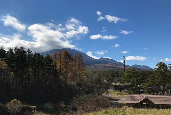 北軽井沢の写真・動画_image_959689