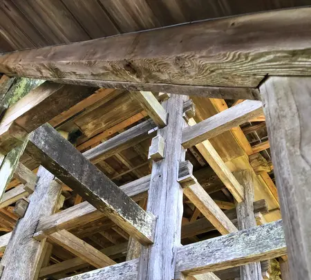 笠森観音の写真・動画_image_959986