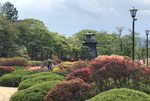 沼田城址の写真・動画_image_960235