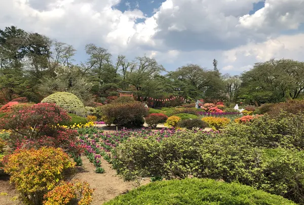 沼田城址の写真・動画_image_960240