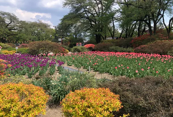 沼田城址の写真・動画_image_960241