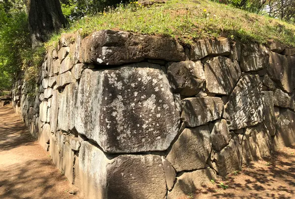 沼田城址の写真・動画_image_960242