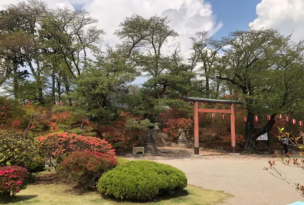 沼田城址の写真・動画_image_960245