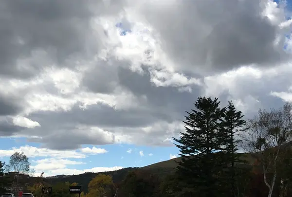 白樺湖の写真・動画_image_960798