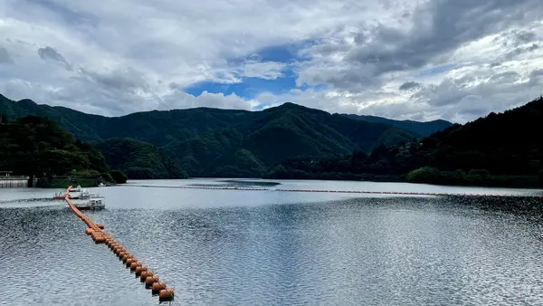 小河内ダムの写真・動画_image_966928