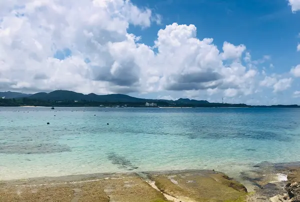 古宇利島の写真・動画_image_971775