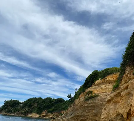 夏井ケ浜の写真・動画_image_974518