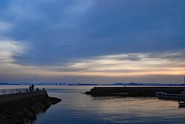 渋川海岸の写真・動画_image_975595
