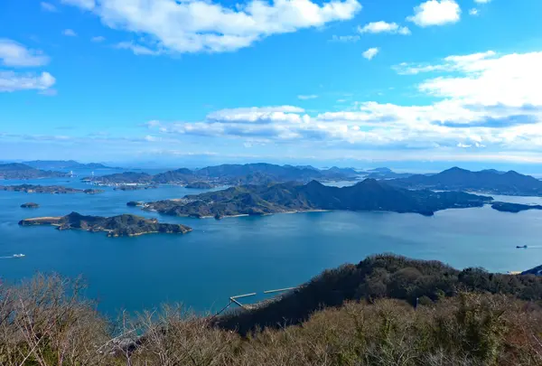 龍王山の写真・動画_image_975621