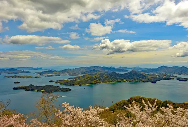 龍王山の写真・動画_image_975622