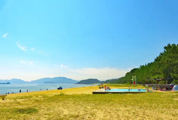 虹ケ浜の写真・動画_image_975899
