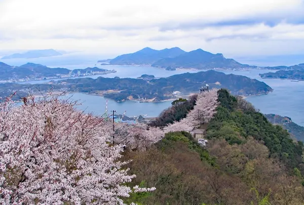 積善山の写真・動画_image_975912