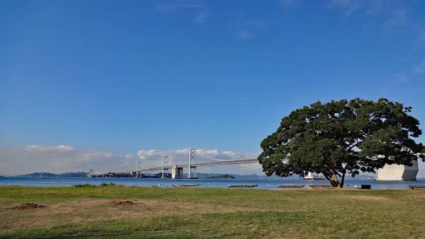 沙弥島の写真・動画_image_975985