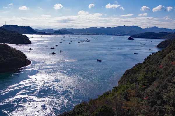 堀越橋の写真・動画_image_975994