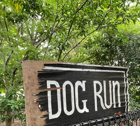 cafe KO-BAの写真・動画_image_977799