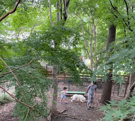 cafe KO-BAの写真・動画_image_977801