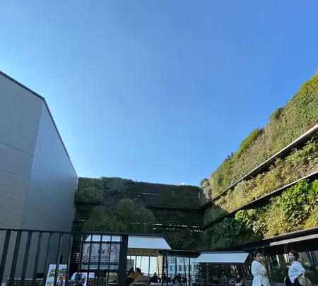 東急プラザ銀座の写真・動画_image_978515