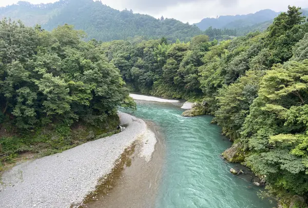 ことぶきの写真・動画_image_978568