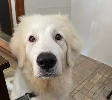 Cafe&Diner Beliceの写真・動画_image_981725