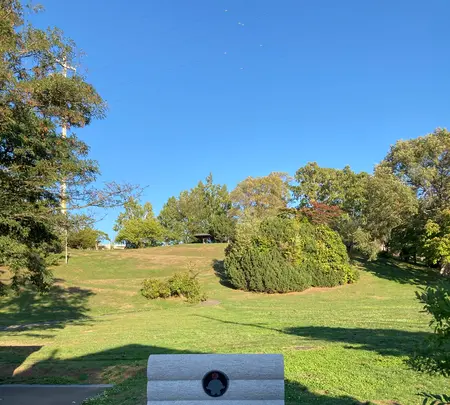 平岸高台公園の写真・動画_image_982381