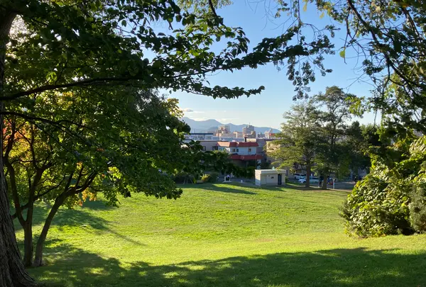 平岸高台公園の写真・動画_image_982383