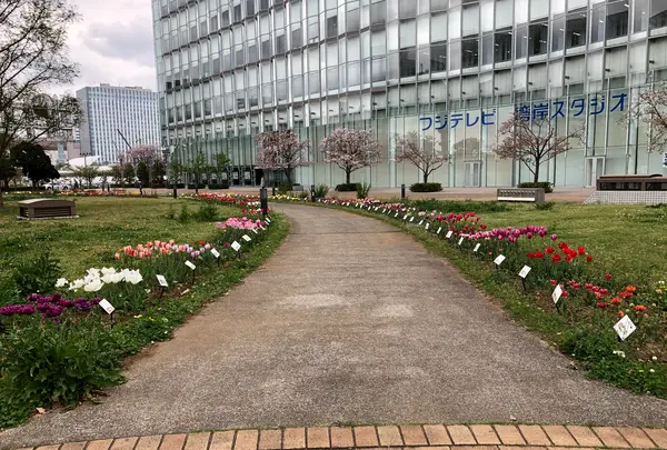 都立シンボルプロムナード公園　の写真・動画_image_991326