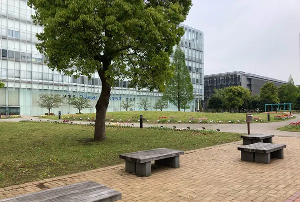 都立シンボルプロムナード公園　の写真・動画_image_991329