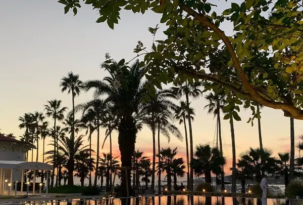 MALIBU HOTEL（マリブホテル）の写真・動画_image_992582