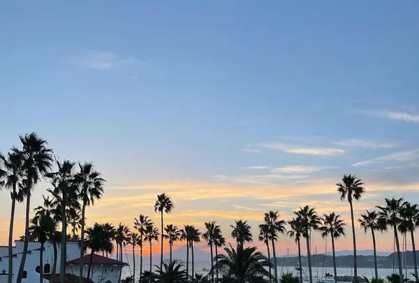 MALIBU HOTEL（マリブホテル）の写真・動画_image_992583