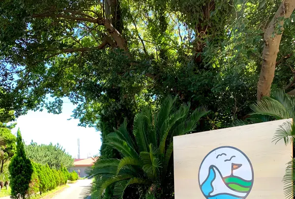 TREX CHIGASAKI OCEAN CAFEの写真・動画_image_994374