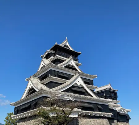 熊本城の写真・動画_image_996987