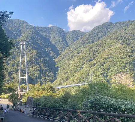 綾の照葉大吊橋の写真・動画_image_999068