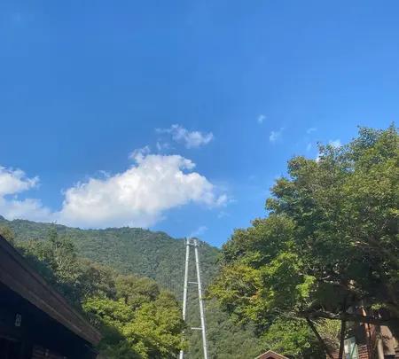綾の照葉大吊橋の写真・動画_image_999070