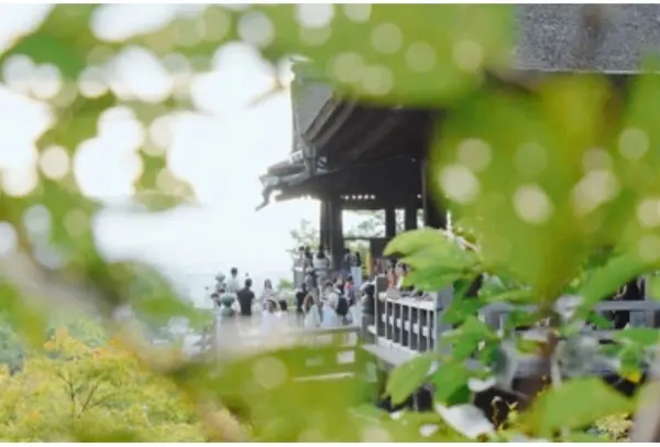 清水寺が素敵に見える場所