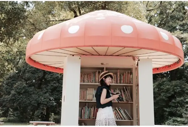 きのこの本棚 🍄