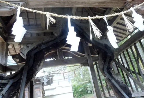 長寿祈願”輪抜け祓い所”
