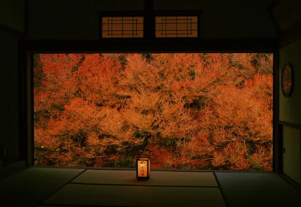 混雑で撮影が難しいかも