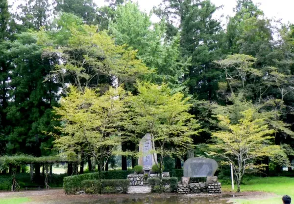 神様いてはる（？）雰囲気