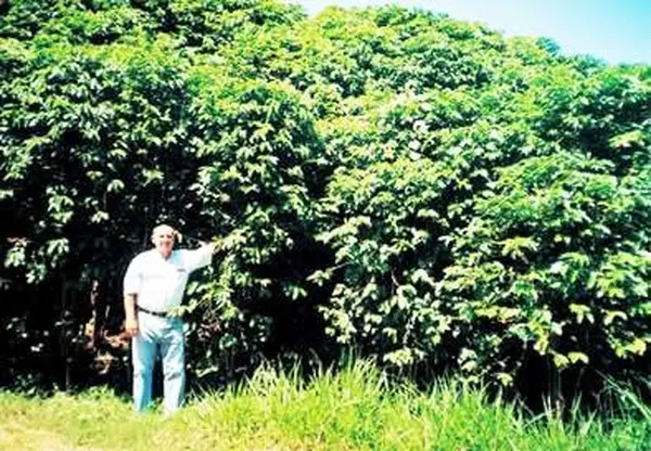 ※写真はイメージです