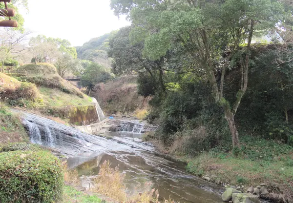 公園内