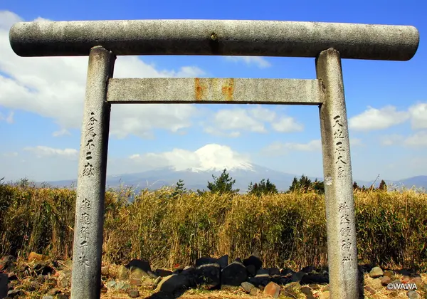 春（３月）の富士山