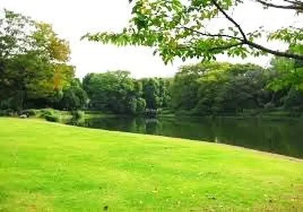 北の丸公園