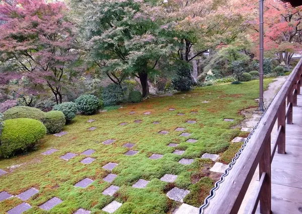 方丈庭園も彩り豊か