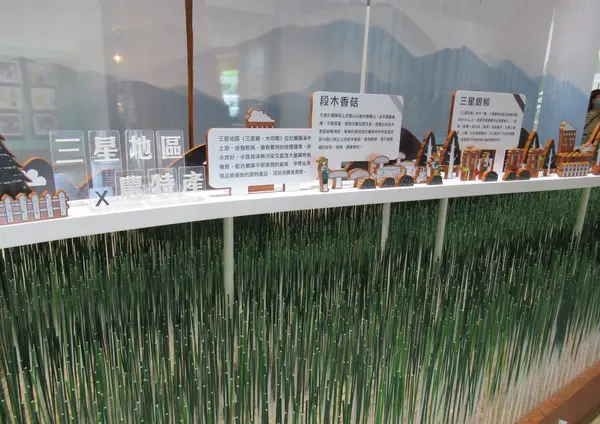 三星青葱文化館