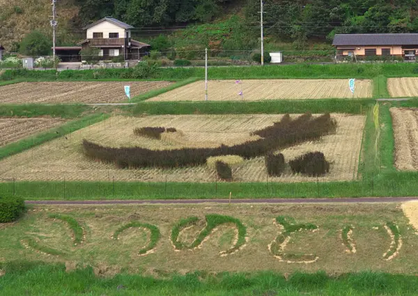 小さな田んぼアート