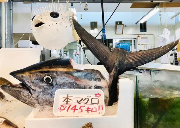 本マグロ！！🐟❣️