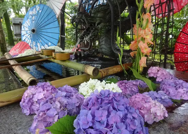 紫陽花の花手水