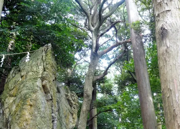 竜宮小僧は本当にいるの…？