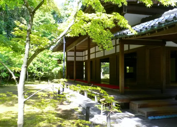 お抹茶タイム